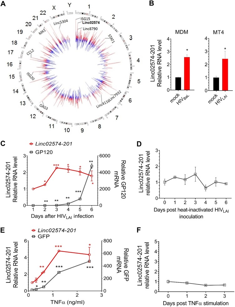 FIG 1