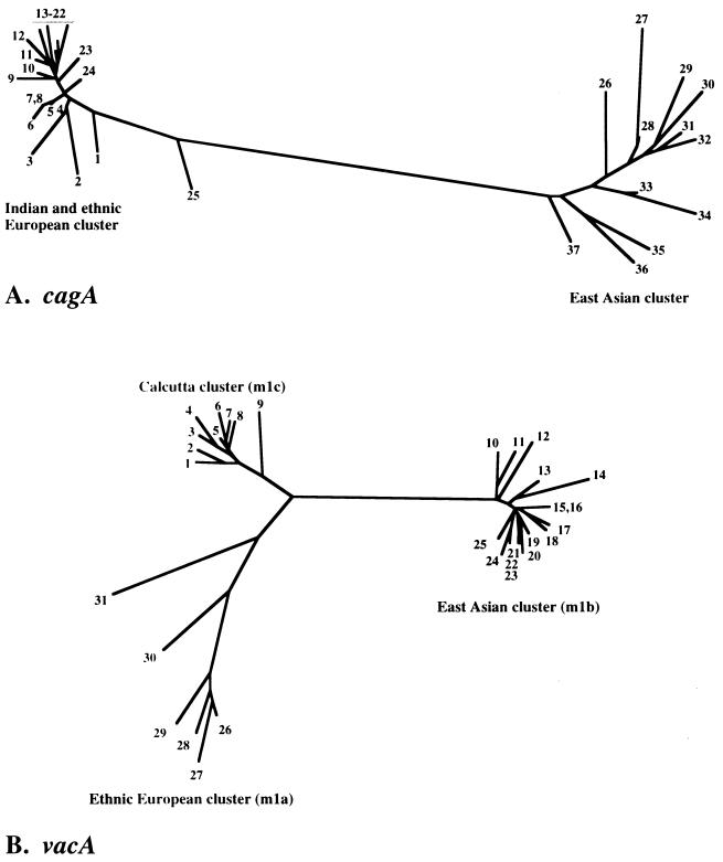 FIG. 3