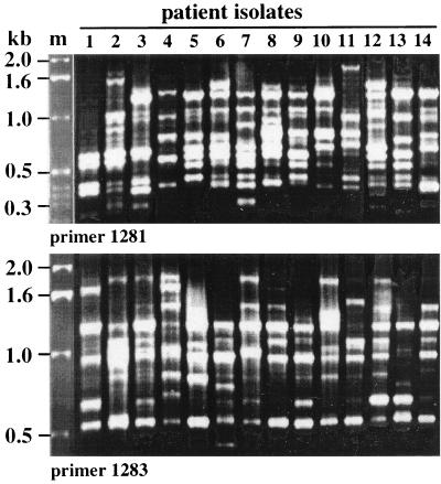 FIG. 1