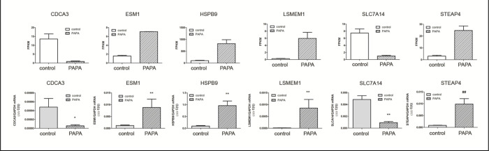 Figure 6.