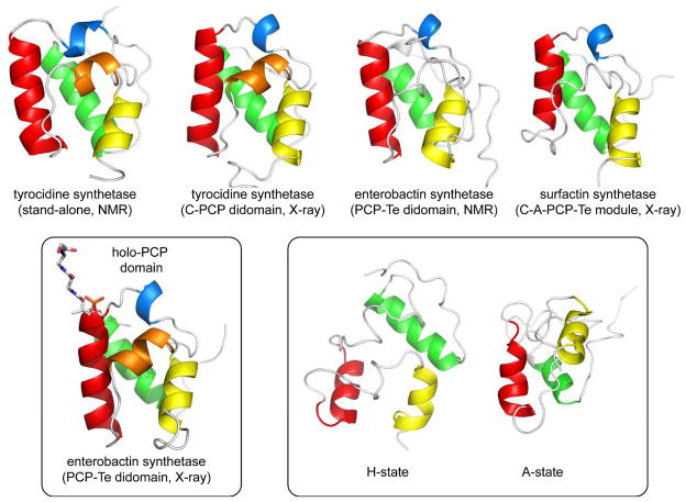 Fig. 3