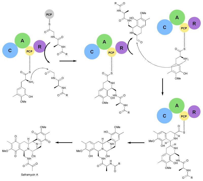 Fig. 11