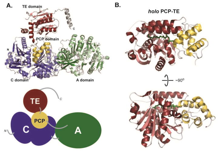 Fig. 5