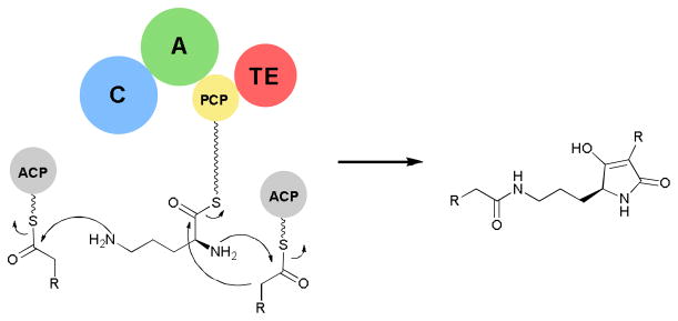 Fig. 12