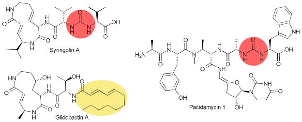 Fig. 7