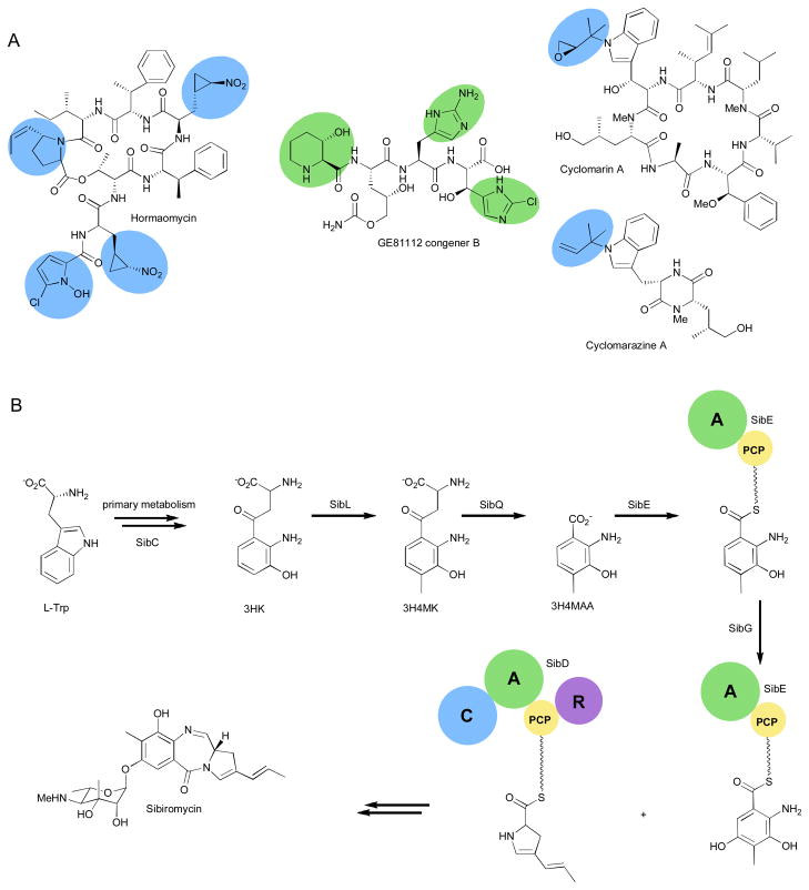 Fig. 6