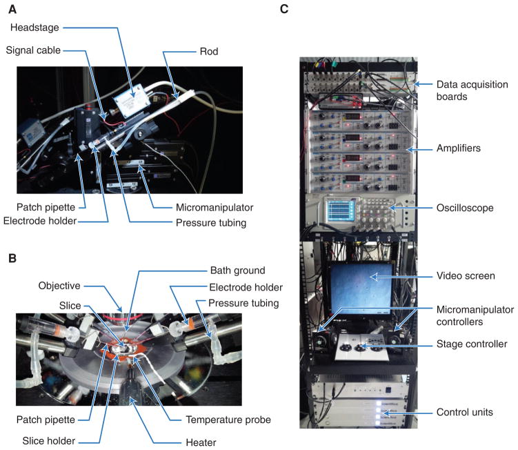 FIGURE 1