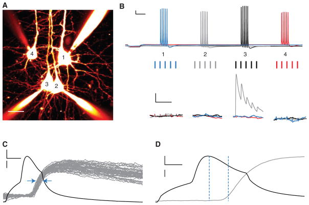 FIGURE 2