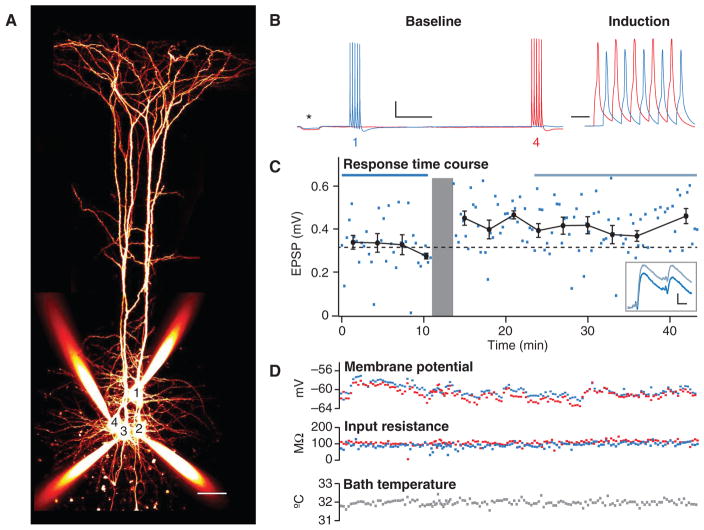 FIGURE 3