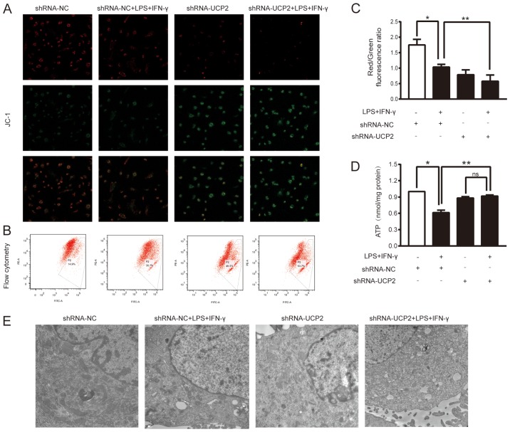 Figure 4.