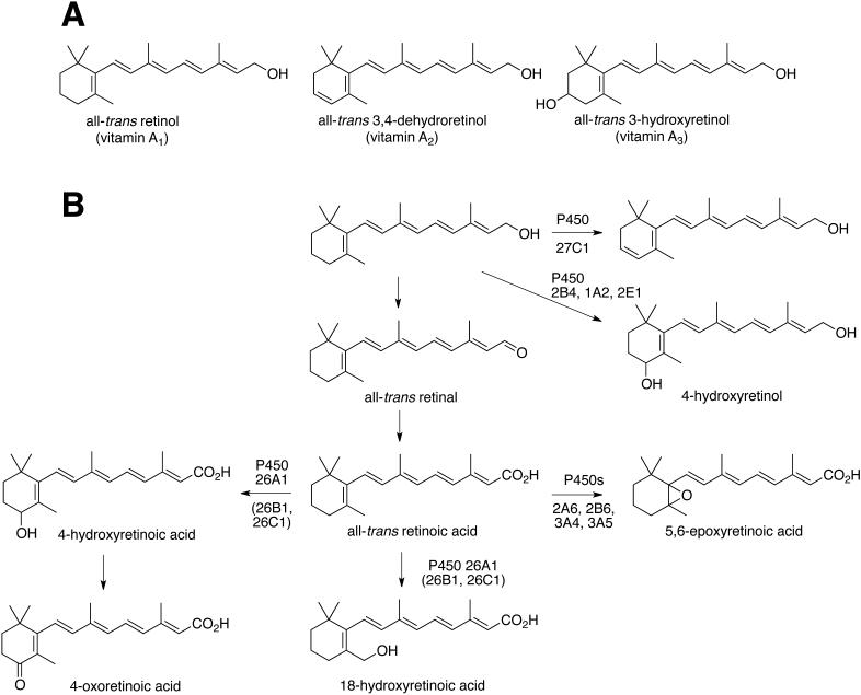 FIGURE 1