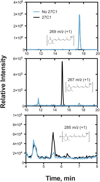 FIGURE 3