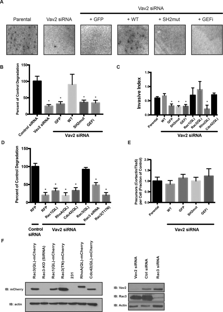 FIGURE 5: