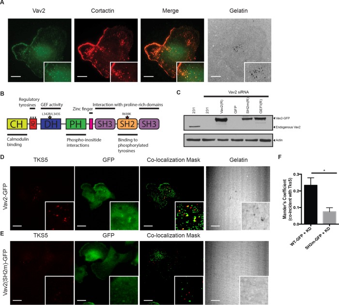 FIGURE 4: