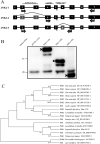 FIG 5