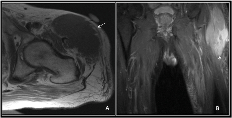 Fig. 8