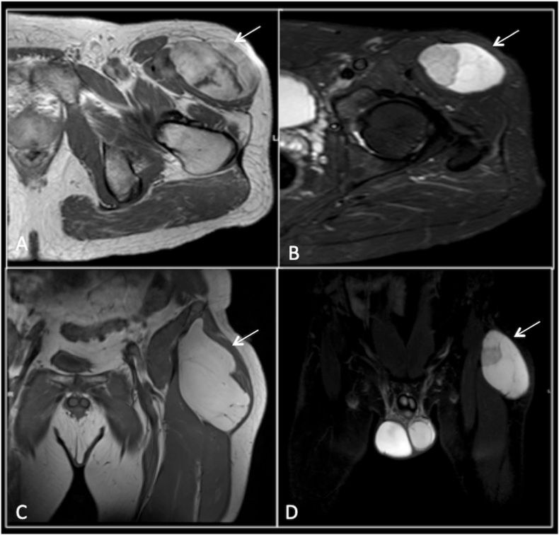 Fig. 5