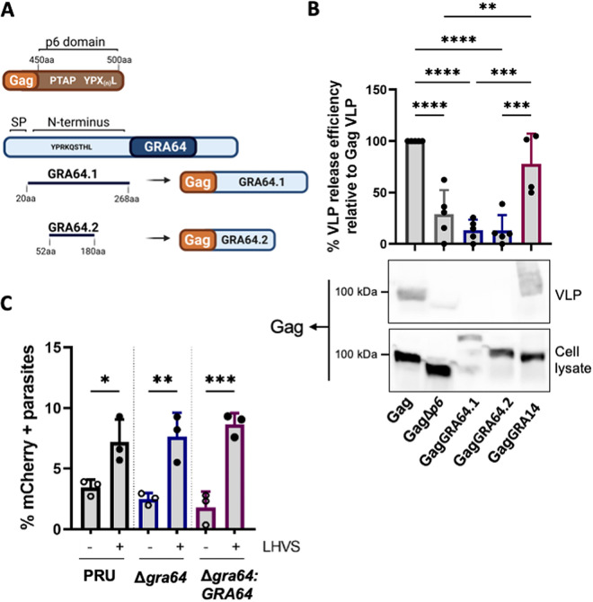 FIG 6