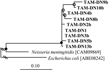 FIG. 4.