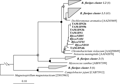 FIG. 5.