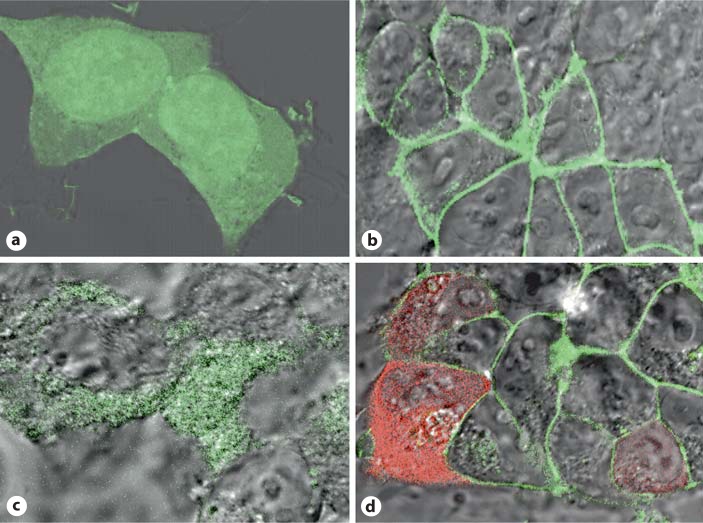 Fig. 9