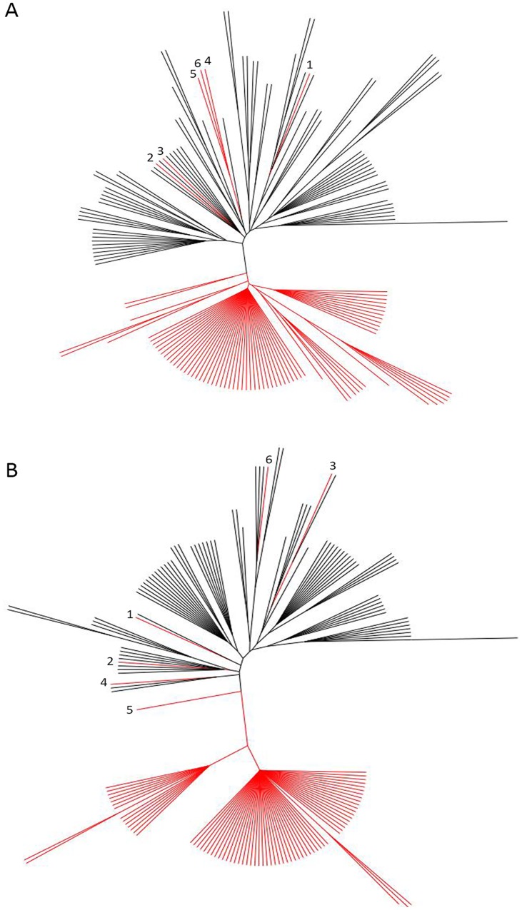 Fig 4