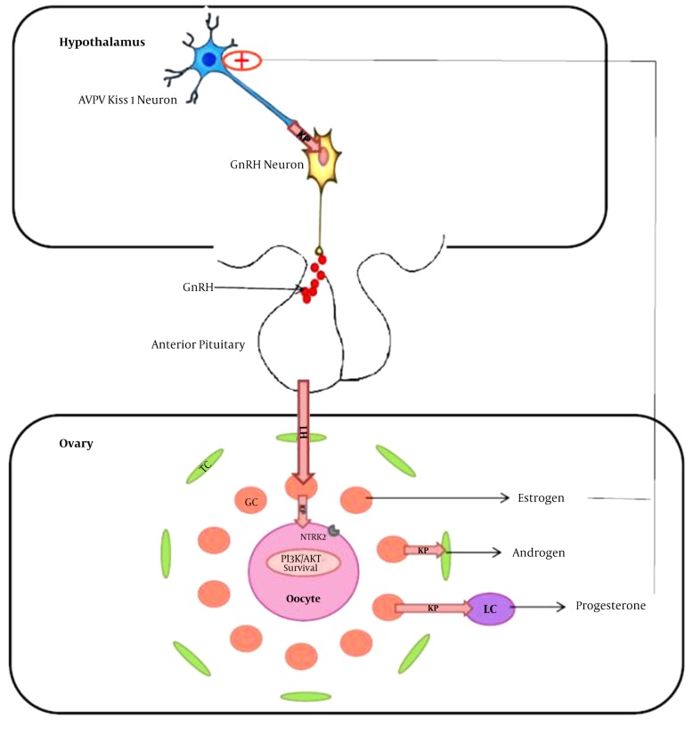 Figure 2.