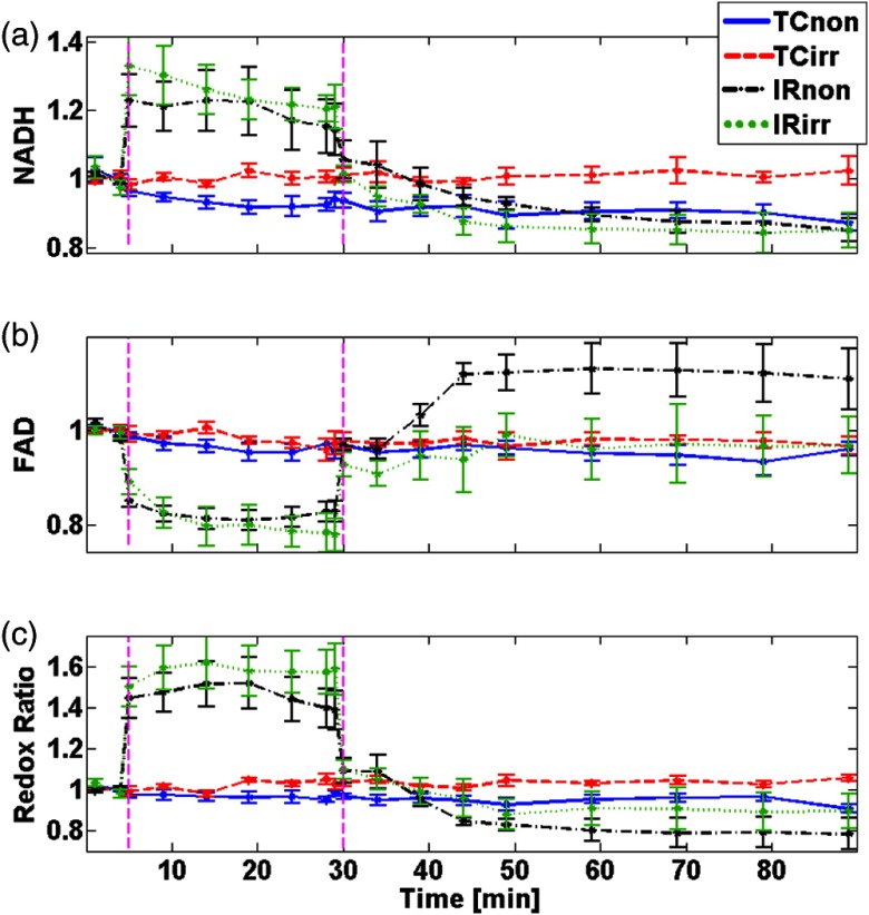 Fig. 2