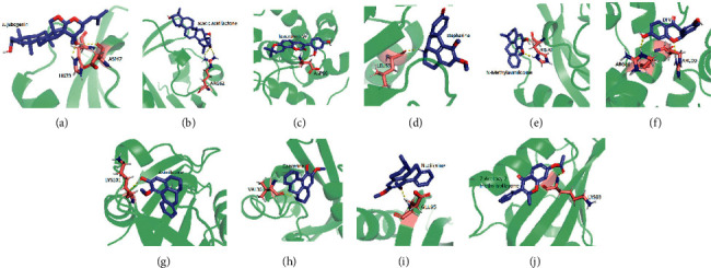 Figure 6