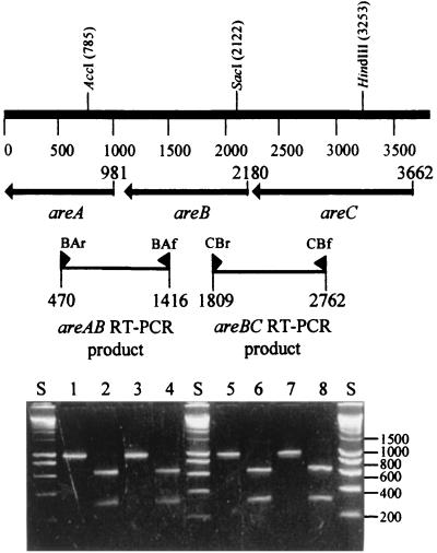 FIG. 5