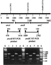 FIG. 5