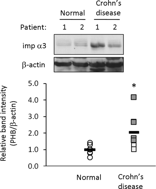 Figure 10.