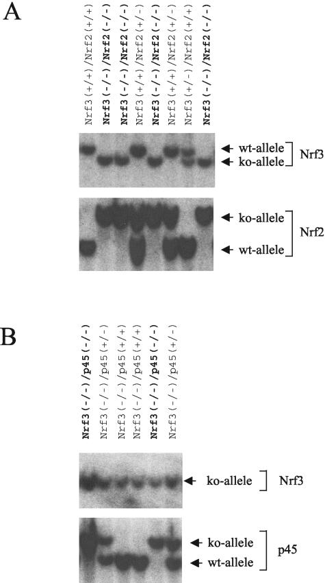 FIG. 5.