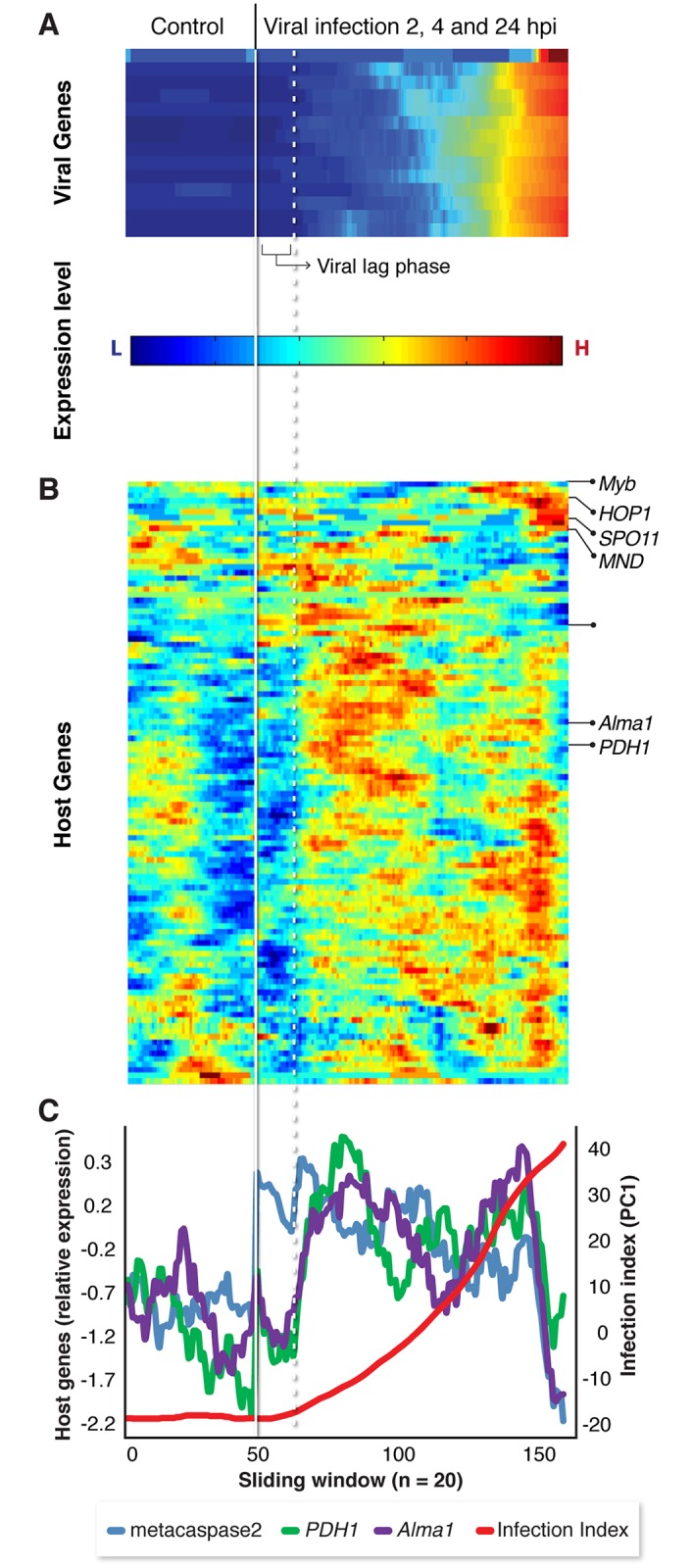 Fig 4