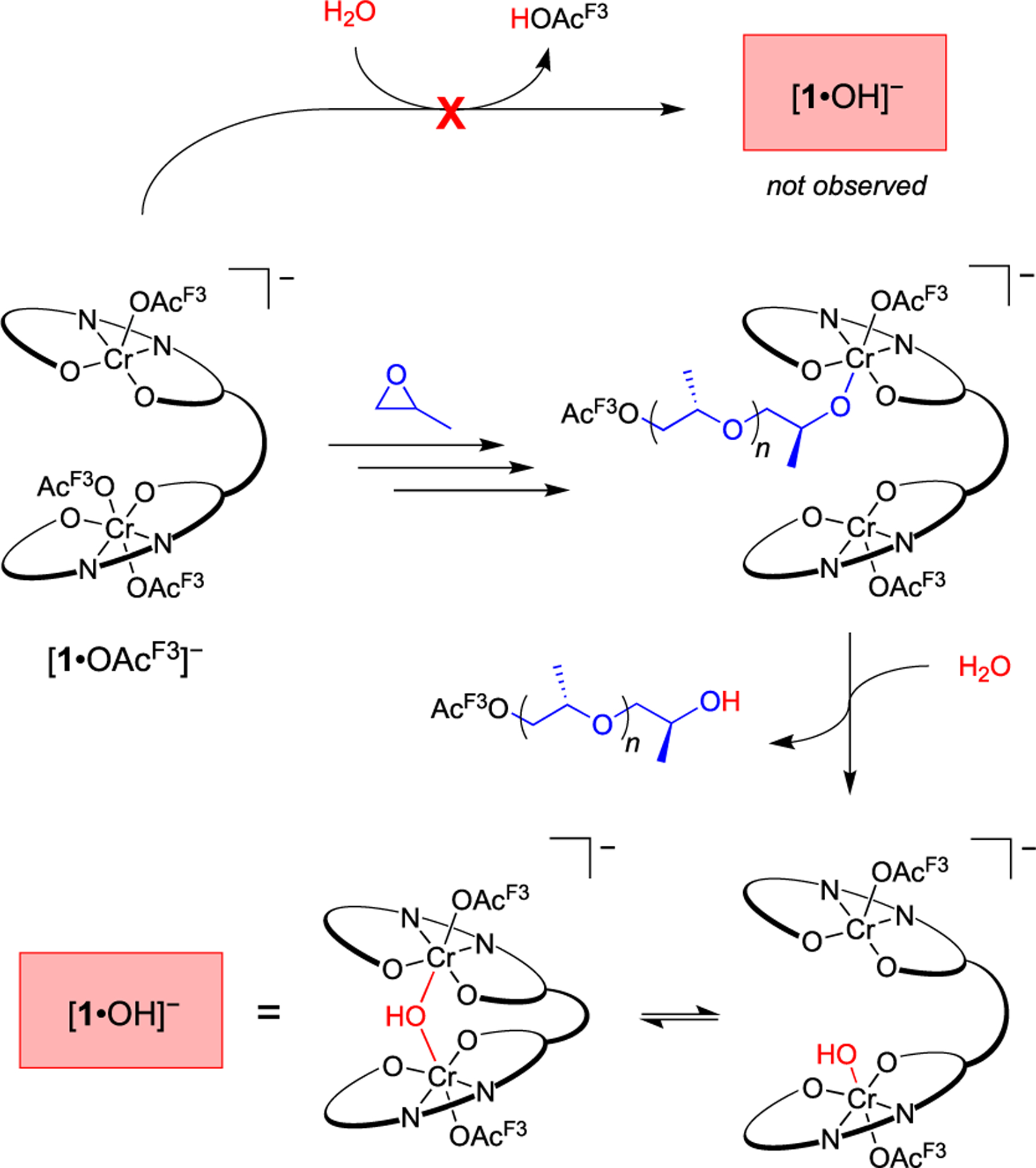 Scheme 3.