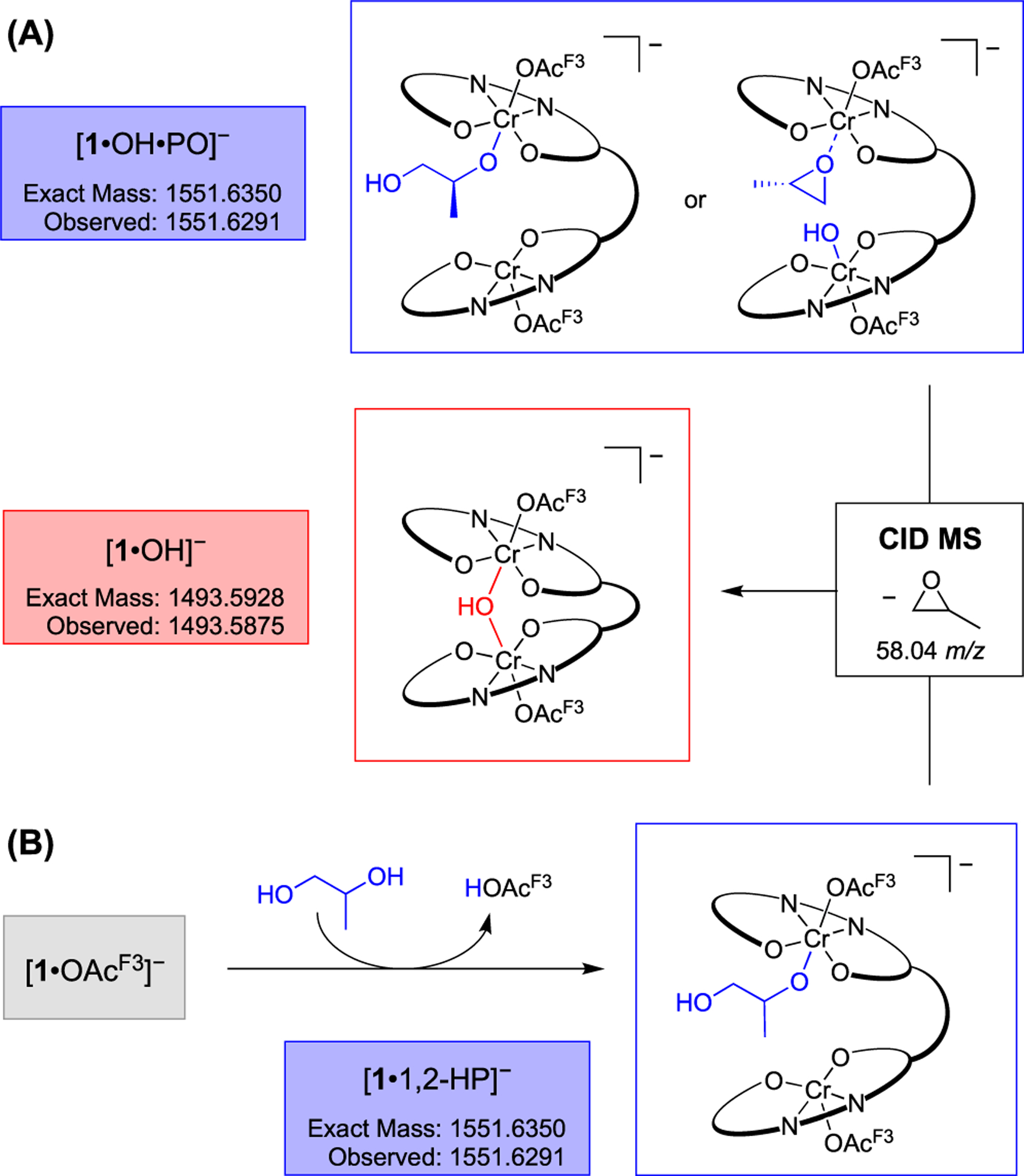 Scheme 4.