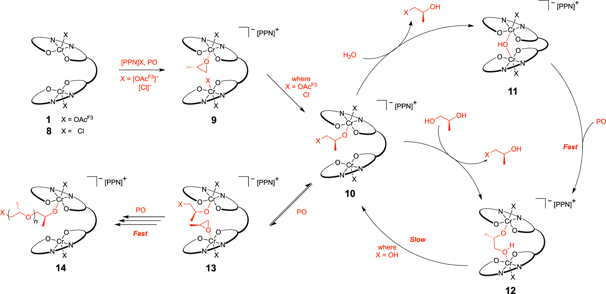 Scheme 8.