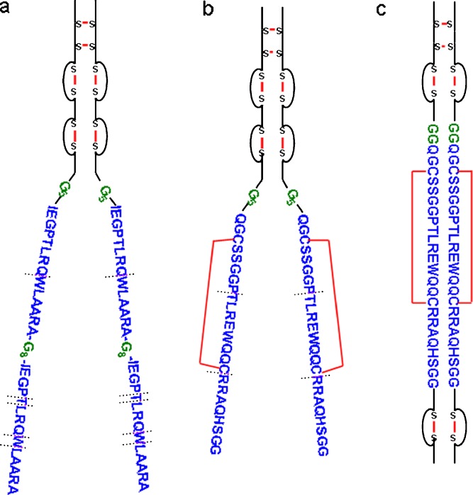 Fig. 1