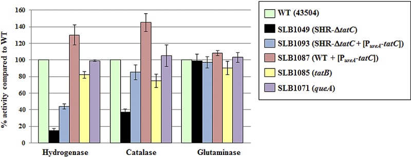 FIG 1 