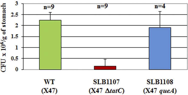 FIG 3 