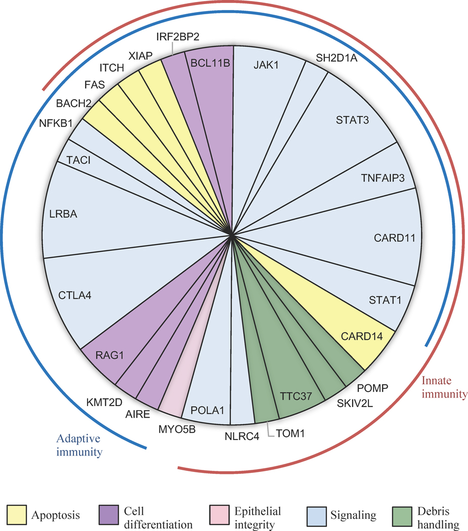 Figure 1: