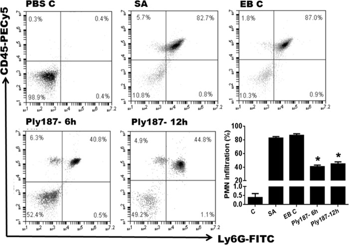 FIG 4