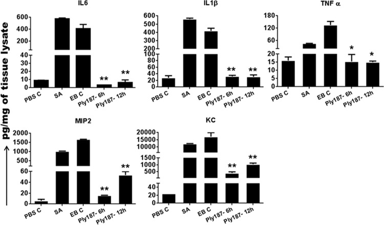 FIG 3