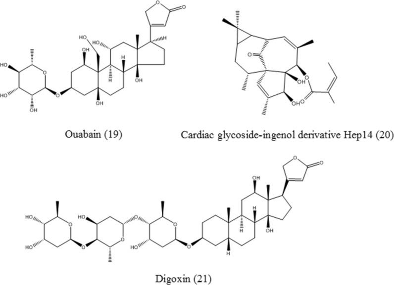 Fig. 7