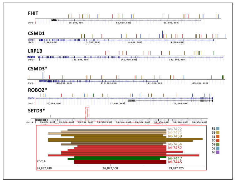 Figure 6