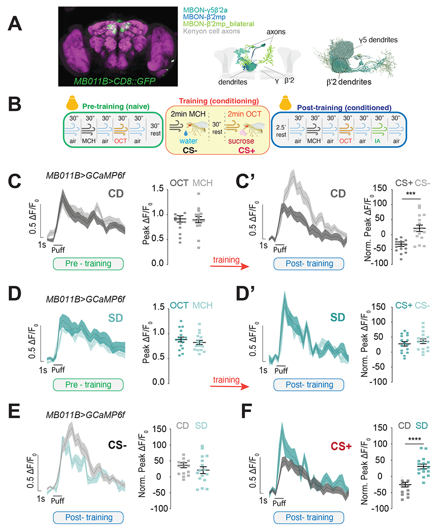 Figure 2: