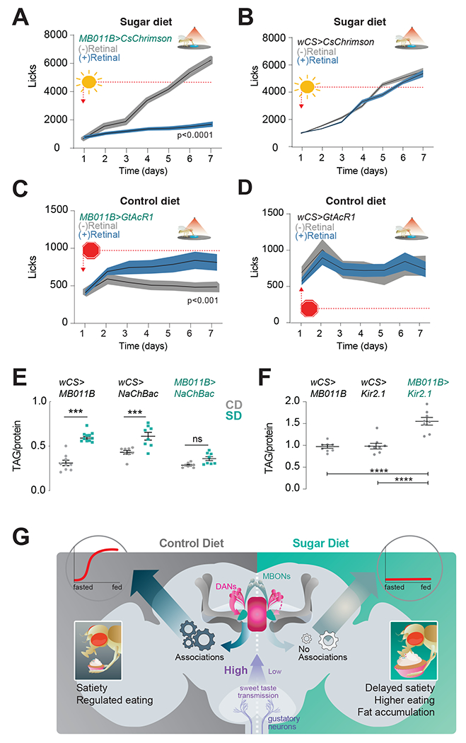 Figure 7: