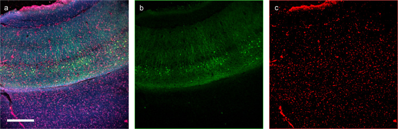 Fig. 4