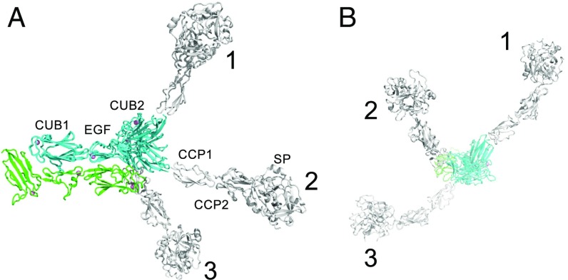 Fig. 3.