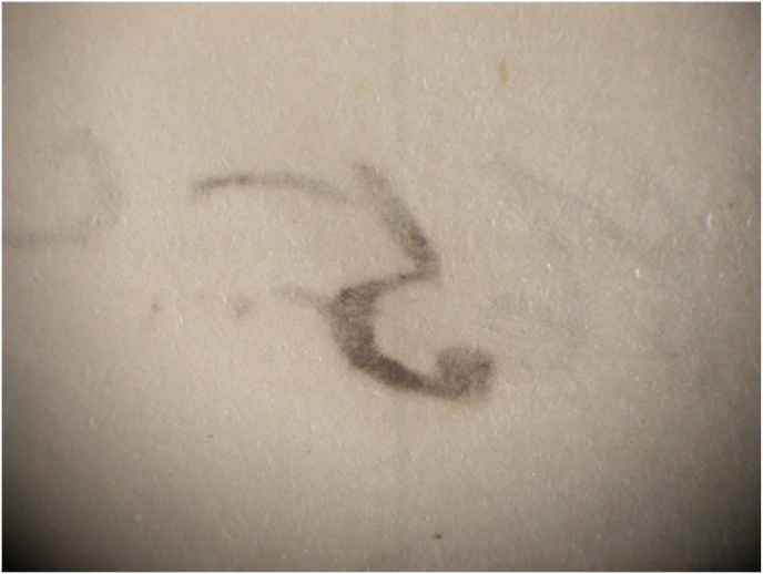 Fig. 5